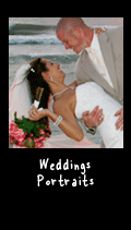 Weddings & Portraits